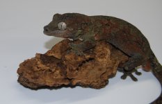 DSC_0109.jpg