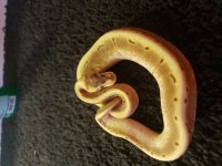 20201222_200605.jpg