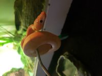 20201222_194809.jpg