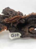 G10.jpg