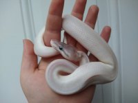 IMG_20201111_165446137.jpg