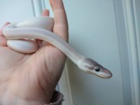 IMG_20201206_112248834.jpg