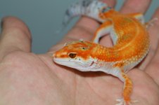 DSC_0416.jpg