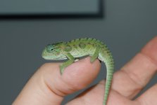 DSC_0425.jpg