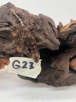 G23.jpg