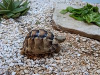 PXL_20201206_150329826.jpg