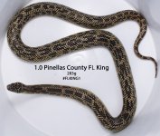 pinellas1.jpg