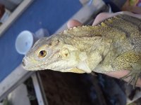 20201013_154658.jpg