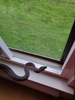 SmartSelect_20201119-162052_Gallery.jpg