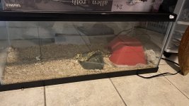 IMG_5357.jpg