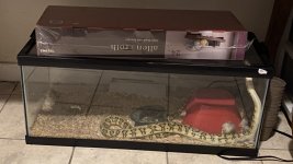 IMG_5432.jpg
