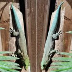 IMG_20181218_135025.jpg