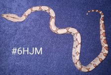 #6HJMc.jpg