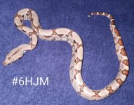 #6HJMd.jpg