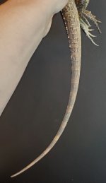 20201026_113619.jpg
