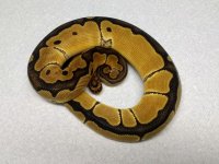 thumbnail (48).jpg