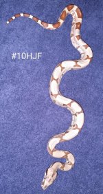 #10HJFd.jpg