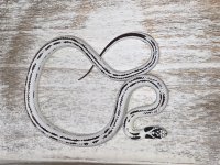 7A746849-AAB6-4B9F-B5F1-BBF81C0E58DE.jpg