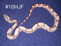 #10HJFb.jpg