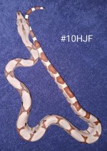 #10HJFa.jpg