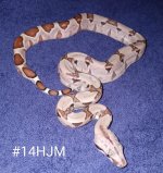 #14HJMd.jpg