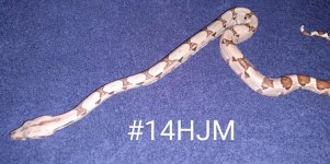 #14HJMb.jpg