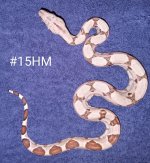 #15HJMc.jpg