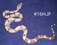#16HJFa.jpg
