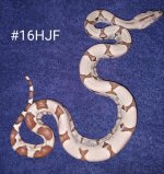 #16HJFb.jpg