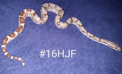 #16HJFd.jpg