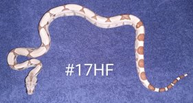 #17HJFa.jpg