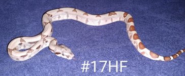 #17HJFb.jpg