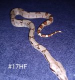 #17HJFc.jpg