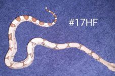 #17HJFd.jpg