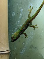 IMG_20200811_165556.jpg