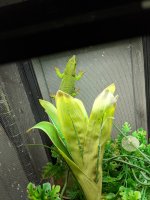 IMG_20200802_115923.jpg