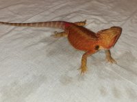 20201206_181348.jpg