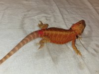 20201206_181341.jpg