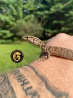 118923222_10226036793252107_3041339646242655210_n.jpg
