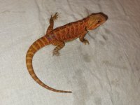 20201206_181253.jpg