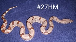 #27HMd.jpg
