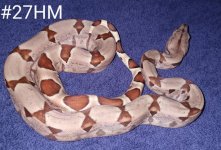 #27HMa.jpg