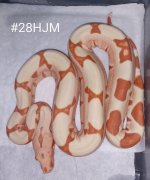 #28HJMd.jpg