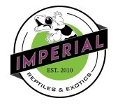 IR_LOGO_REVAMP_CONCEPTS_Colors_LowRes_v2-3-01-01.jpg
