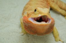 DSC_0010.jpg