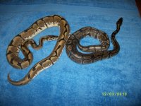 12-4-2010 080.jpg