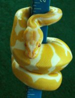 MALE8.jpg