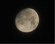 moon1.jpg