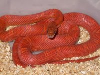 Picture 040.jpg