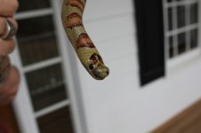 IMG_2258.jpg